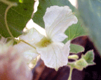 ab39f680.gif