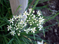 6284b166.gif