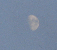 930850a3.gif