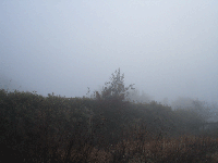 8c222a42.gif