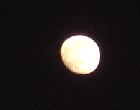 5191971e.gif
