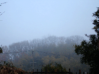 978fe9e8.gif