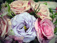 15e08c79.gif