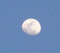 04e4748b.gif