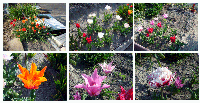 a8684fff.gif