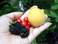 d382c69c.gif