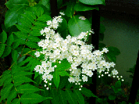 8c5e01a9.gif