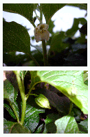 4e2356cf.gif