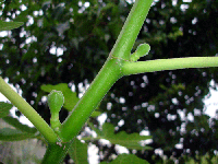 e7122e5c.gif