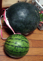 9d6f8aa5.gif