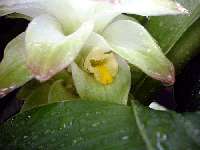 8134b205.gif