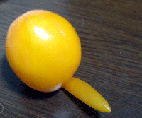 f56d7d98.gif