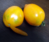 4816d3e7.gif