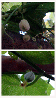 8ad83984.gif