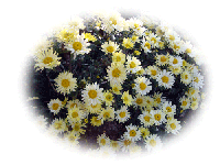 a0050085.gif