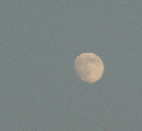 fd7bd785.gif