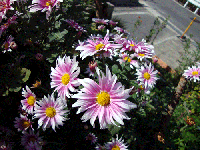 3f1e51e5.gif