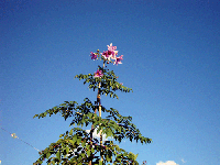 bfd75e65.gif