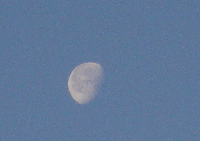 5d4446d0.gif