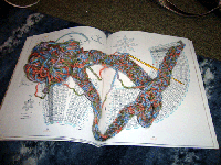 2ec11405.gif