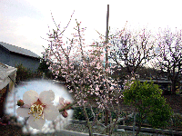 7deef3d7.gif