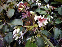 7c90d33b.gif