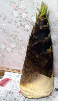 4e90e004.gif