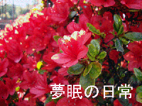 b38f9e0e.gif