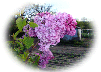 ab711311.gif