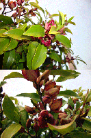 f238b04a.gif