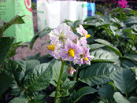 6cd917d3.gif