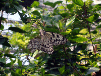 1b50841c.gif