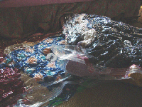 04134c43.gif