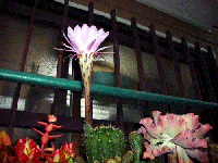 f72efaf7.gif