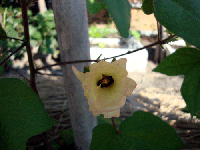 c13fb514.gif