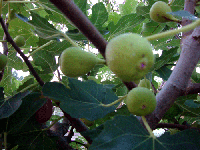 e0d49812.gif