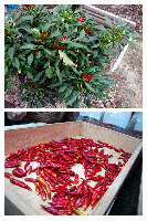 df71f5ab.gif