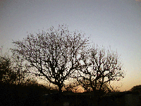 4e7581d0.gif
