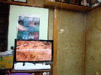 29d29801.gif