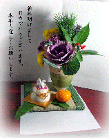 31d47502.gif