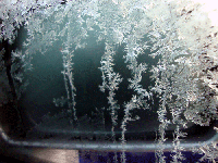 81f70795.gif