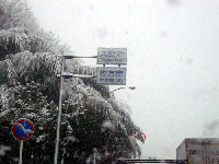 3e3b50cc.gif