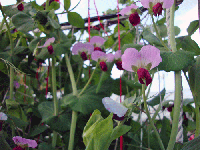 4f07c413.gif