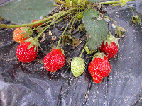 e2ac293d.gif
