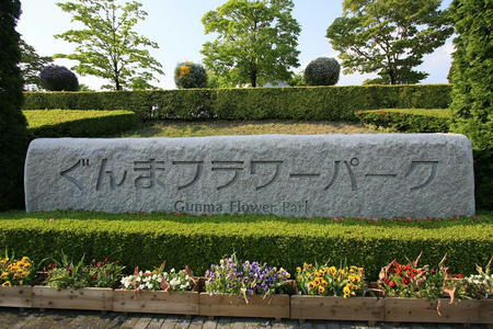 GunmaFlower515-1.JPG