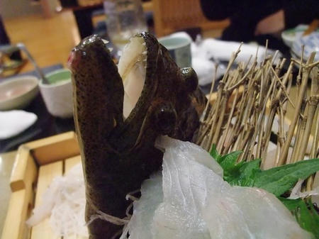 2008_1204teradomari0046.JPG