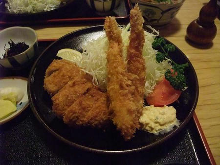2008_1126umenoya0013.JPG