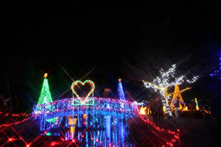 2008_1210haruna009.JPG