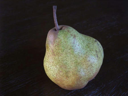2008_1216siruba-beru0001.JPG