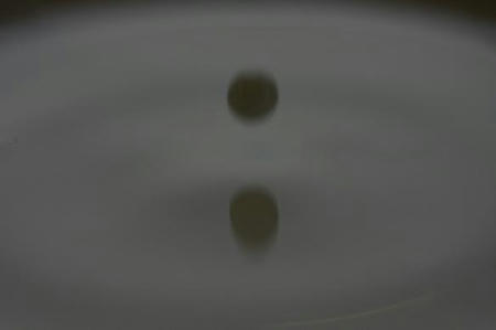 IMG_4028milk.JPG
